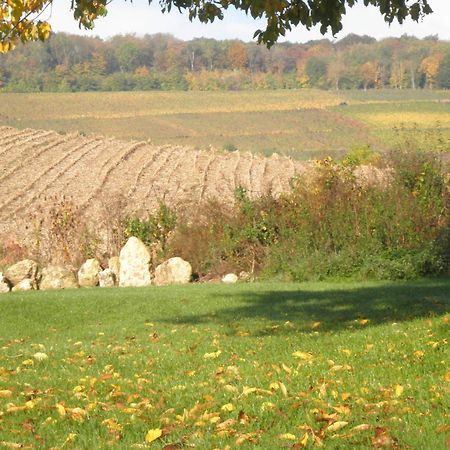 مبيت وإفطار Châtillon-sur-Marne Domaine Du Moulin De L'Etang المظهر الخارجي الصورة