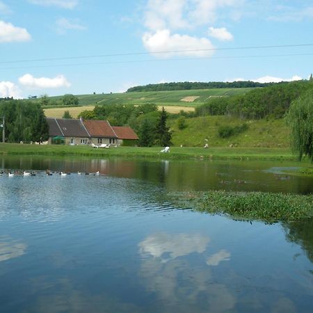 مبيت وإفطار Châtillon-sur-Marne Domaine Du Moulin De L'Etang المظهر الخارجي الصورة