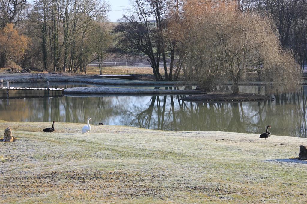 مبيت وإفطار Châtillon-sur-Marne Domaine Du Moulin De L'Etang المظهر الخارجي الصورة