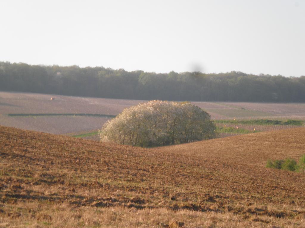 مبيت وإفطار Châtillon-sur-Marne Domaine Du Moulin De L'Etang المظهر الخارجي الصورة