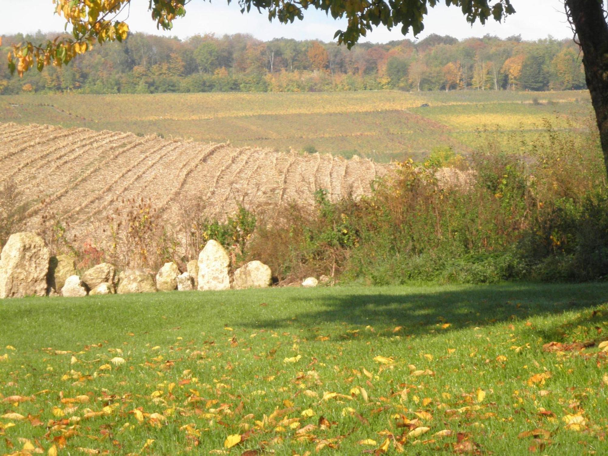 مبيت وإفطار Châtillon-sur-Marne Domaine Du Moulin De L'Etang المظهر الخارجي الصورة