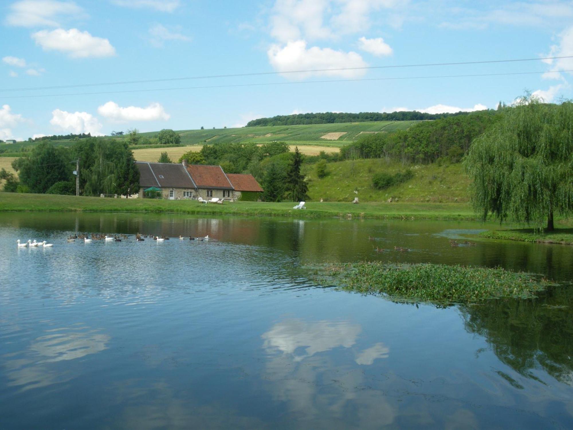 مبيت وإفطار Châtillon-sur-Marne Domaine Du Moulin De L'Etang المظهر الخارجي الصورة