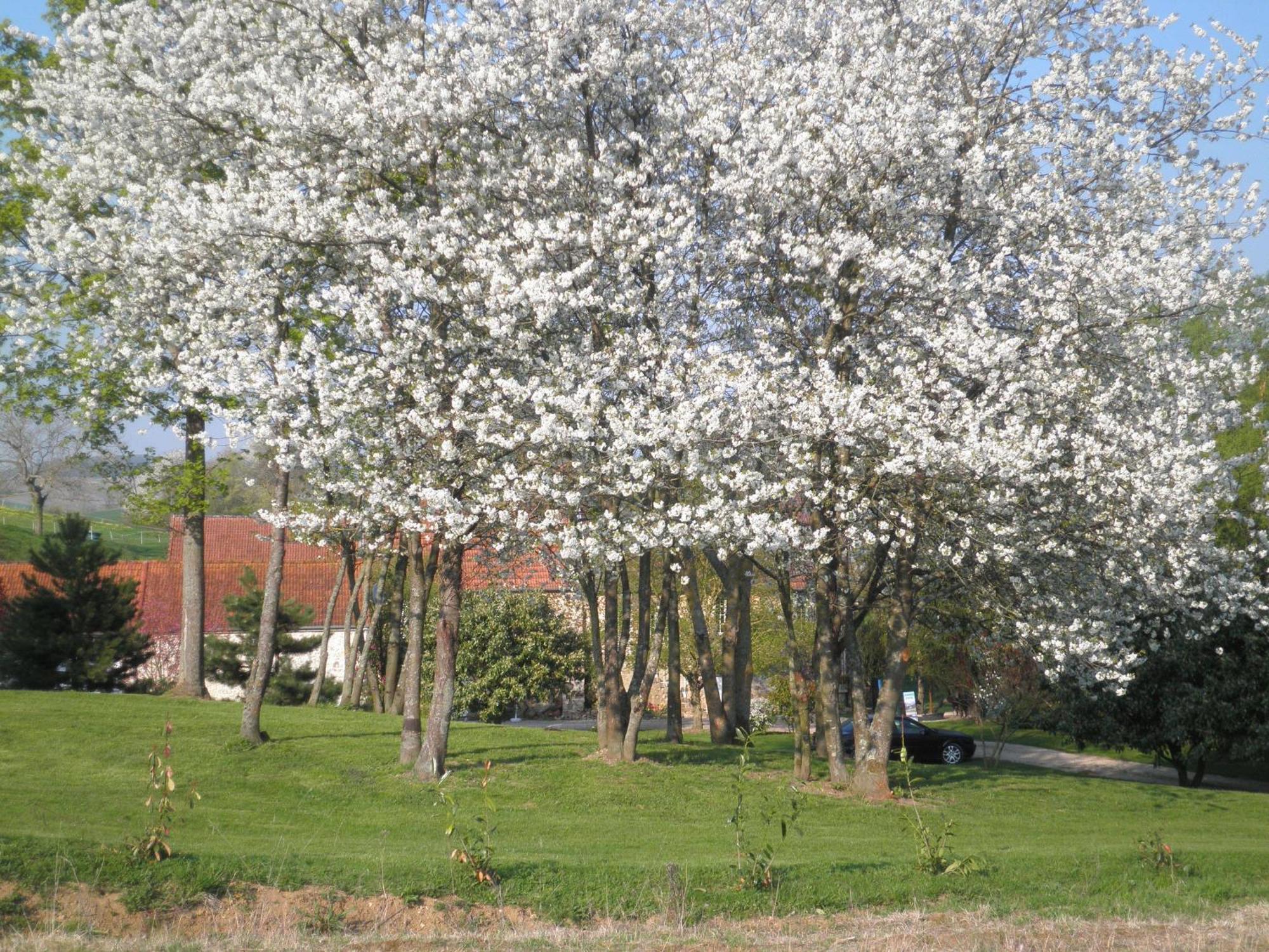 مبيت وإفطار Châtillon-sur-Marne Domaine Du Moulin De L'Etang المظهر الخارجي الصورة