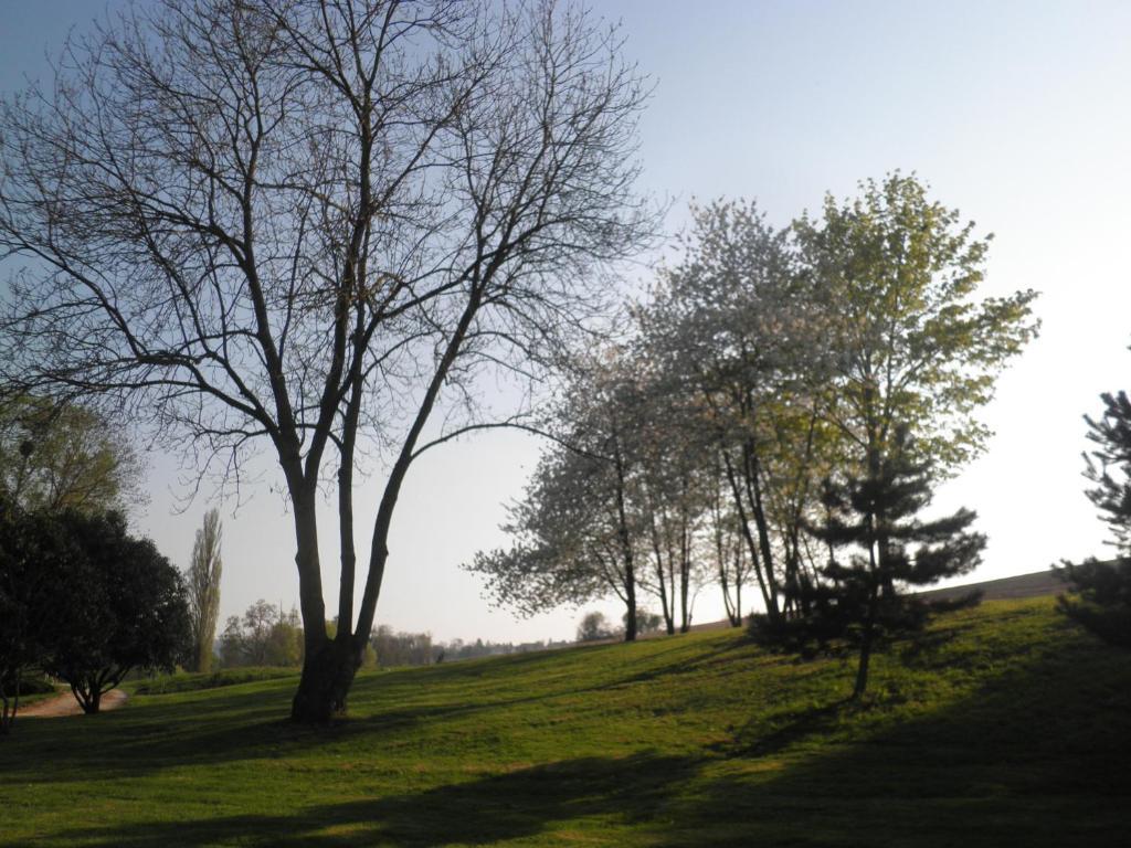 مبيت وإفطار Châtillon-sur-Marne Domaine Du Moulin De L'Etang الغرفة الصورة