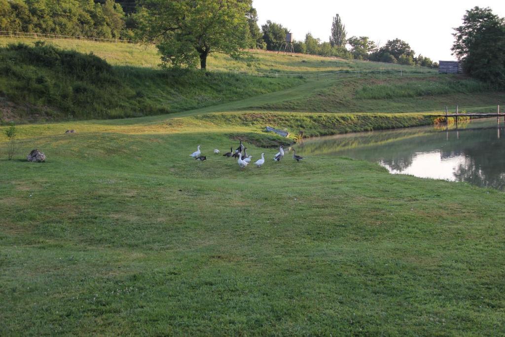 مبيت وإفطار Châtillon-sur-Marne Domaine Du Moulin De L'Etang المظهر الخارجي الصورة