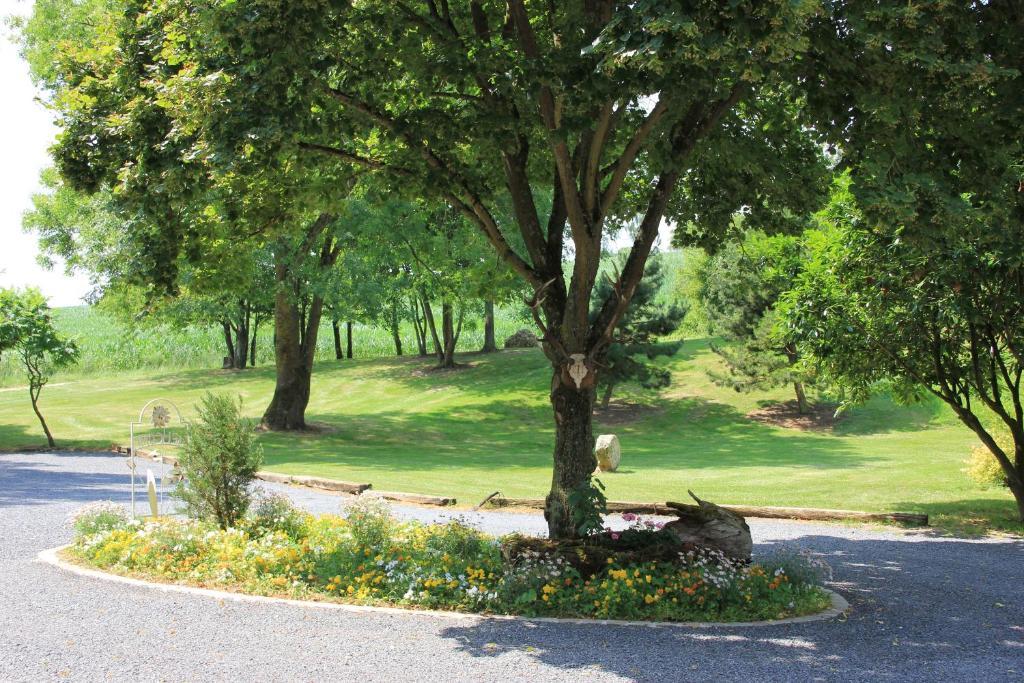 مبيت وإفطار Châtillon-sur-Marne Domaine Du Moulin De L'Etang المظهر الخارجي الصورة